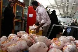 شرکت پشتیبانی امور دام چه نقشی در گرانی مرغ دارد؟