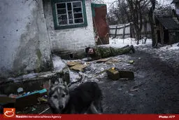 اوکراین شورشیان را به جلوگیری از خروج سلاح‌های سنگین از منطقه نبرد متهم کرد