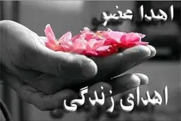 نخستین بزرگداشت پیوند اعضا در خوزستان برگزار شد