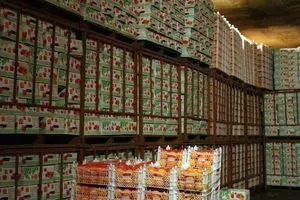 نوروز امسال مردم مرکبات ایرانی می‌خورند