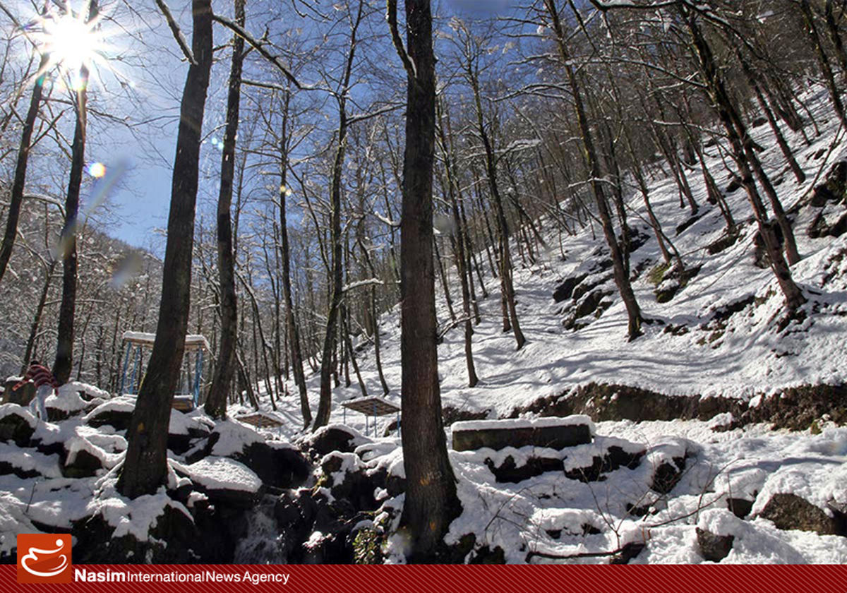 گزارش تصویری:: طبیعت زمستانی جاده اسالم به خلخال