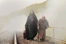 عوامل فیلم 