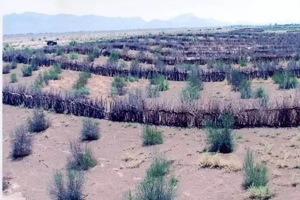 رئیس منابع طبیعی زهک: اجرای طرح بیابان‌زدایی در سطح شهرستان در دستور کار قرار دارد