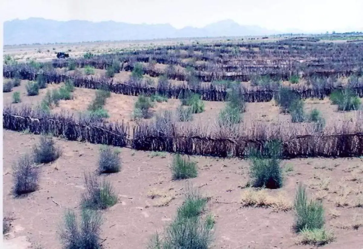 رئیس منابع طبیعی زهک: اجرای طرح بیابان‌زدایی در سطح شهرستان در دستور کار قرار دارد