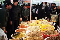 نمایشگاه‌های بهاره تهران از امروز گشایش یافتند