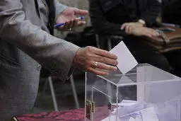 نایب رئیس، دبیرکل، خزانه‌دار و خبره توسط رئیس فدراسیون ووشو انتخاب می‌شود