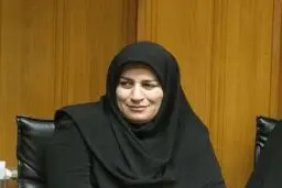 عرب‌عاملی: اردوی تیم ملی در تایلند به دلیل درخواست سرمربی تیم ملی لغو شد