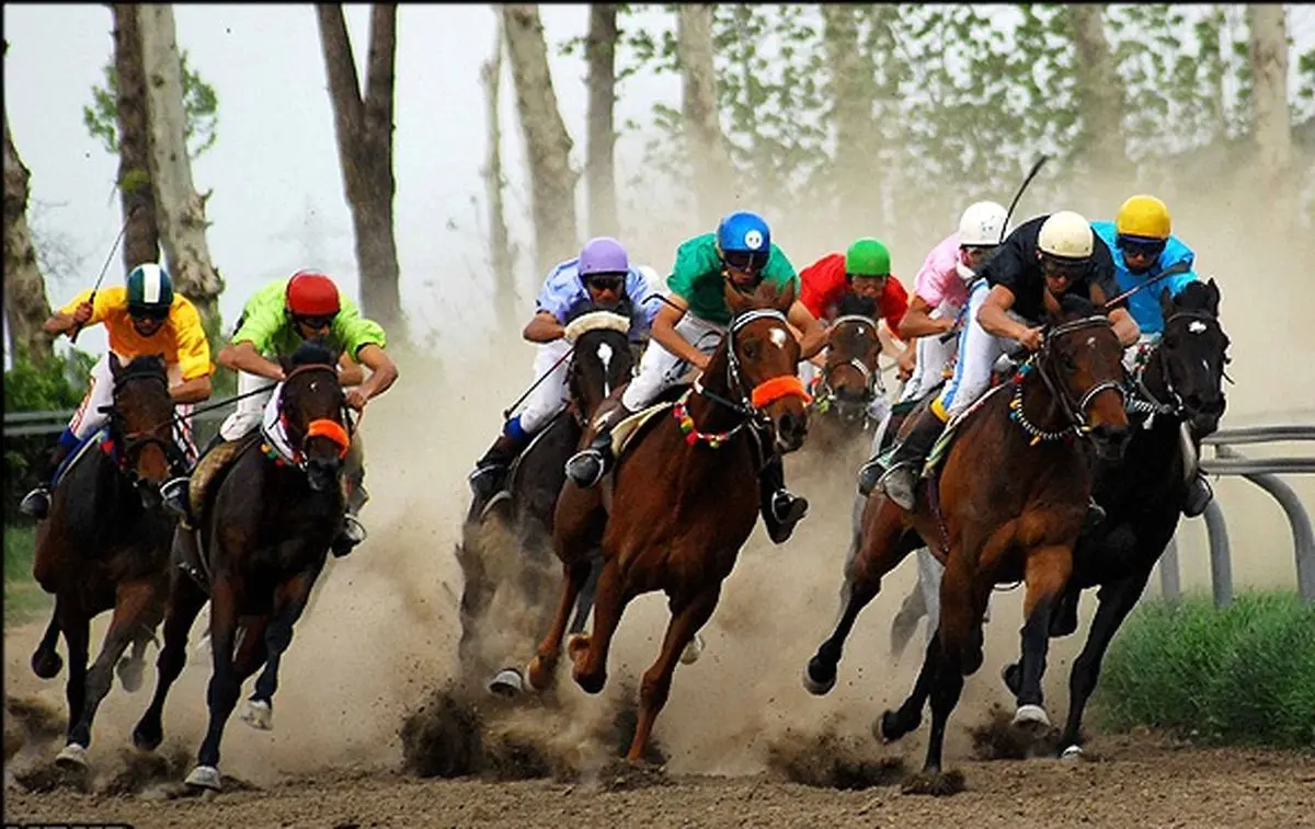 رئیس هیأت سوارکاری خراسان رضوی: ۱۶ باشگاه اسب‌سواری در سطح استان فعالیت می‌کنند