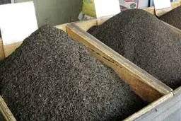 محدودیت صادرات چای از گمرکات خراسان رضوی لغو شد