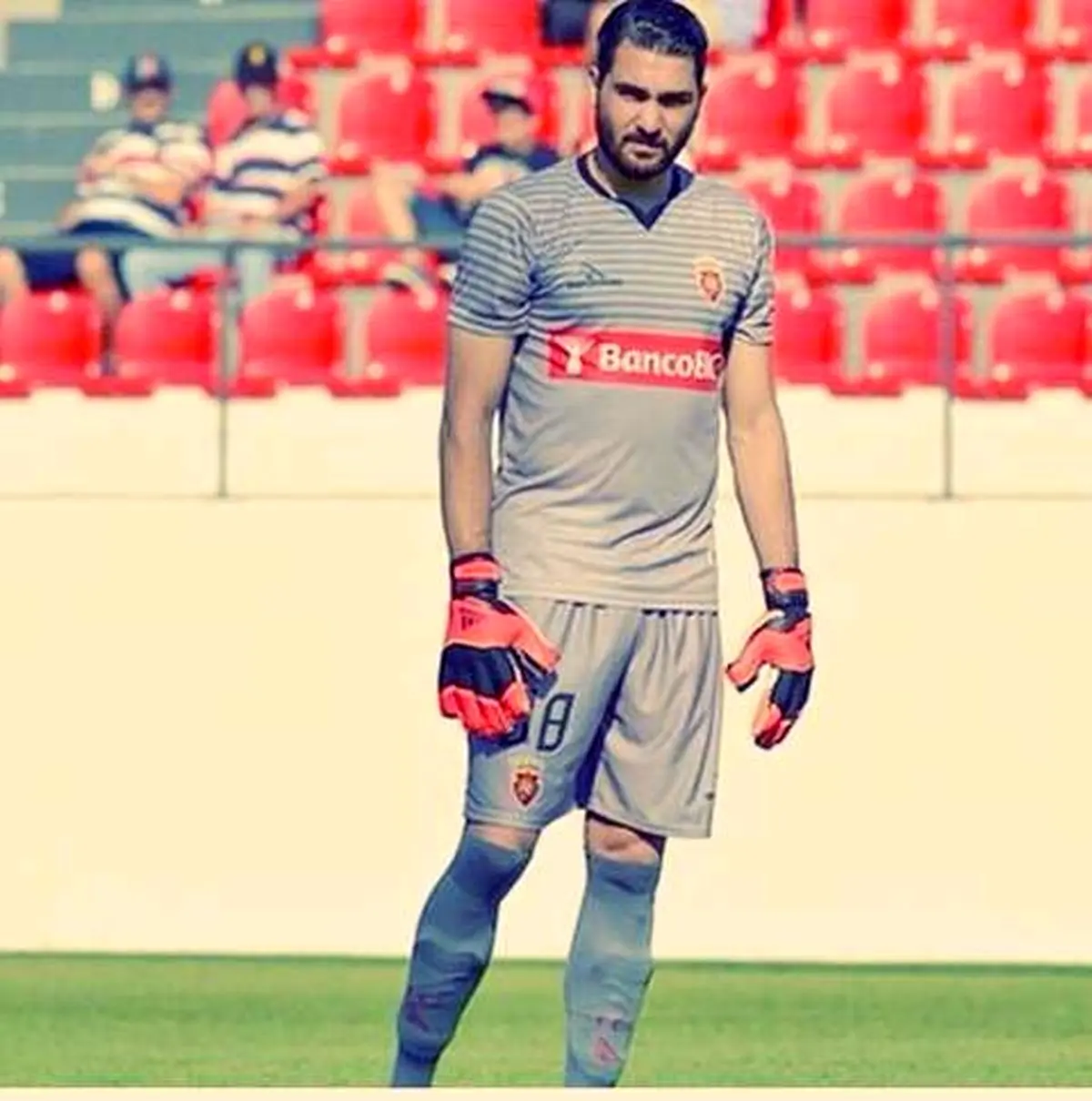 پنافیل باز هم شکست خورد