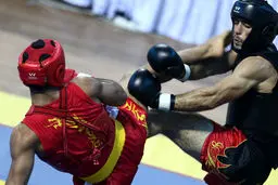 مراسم تودیع و معارفه دبیرکل فدراسیون ووشو برگزار شد