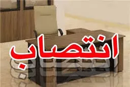 وزیر کشور طی حکمی امیر مغانلو را به سمت مدیرکل دفتر فنی و برنامه ریزی وزارت کشور منصوب کرد