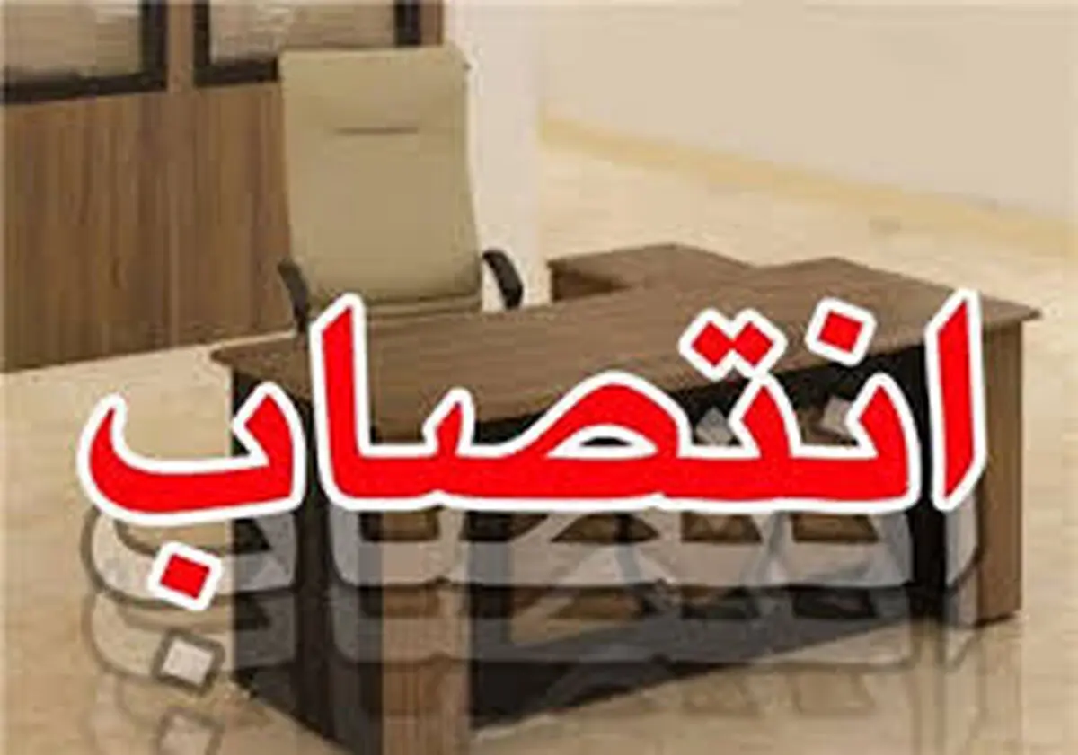 وزیر کشور طی حکمی امیر مغانلو را به سمت مدیرکل دفتر فنی و برنامه ریزی وزارت کشور منصوب کرد