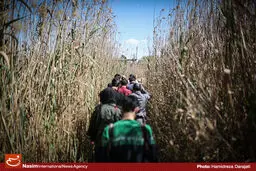 حدود ۵۹۰ هزار دانش‌آموز به مناطق عملیاتی دفاع مقدس سفر کرده‌اند