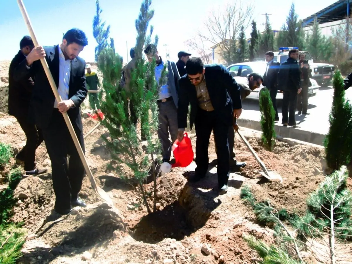 مدیرعامل شرکت شهرک‌های صنعتی فارس: ۱۰ هکتار فضای سبز به شهرک‌های استان اضافه می‌شود