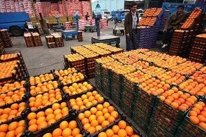 توزیع میوه دولتی به تأخیر افتاد