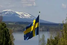 سوئد همکاری نظامی خود با عربستان را لغو کرد