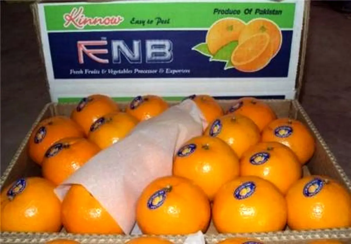 ۹ تن نارنگی قاچاق در شاهرود	کشف شد