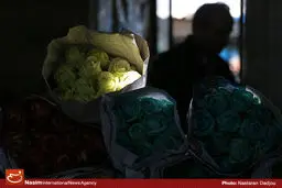 گزارش تصویری:: عرضه گل و گیاه در روزهای پایانی سال