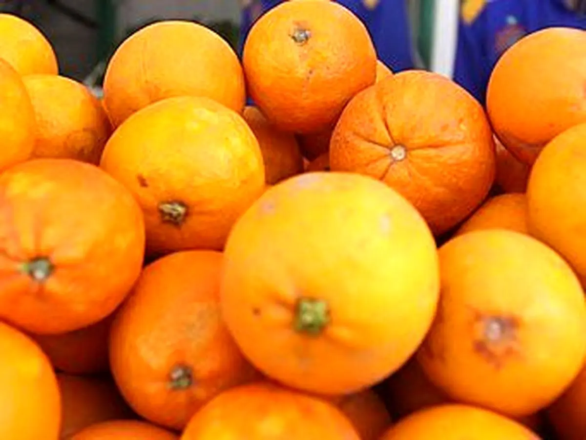 ۱۰ تن پرتقال فاسد از سردخانه‌های یک شرکت دولتی
کشف شد