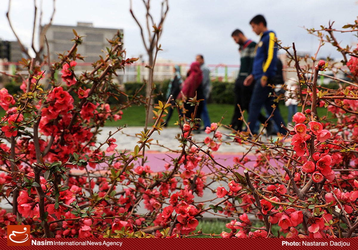 گزارش تصویری:: حال و هوای نوروزی تهران