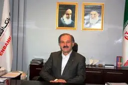 مدیرعامل بانک اقتصاد نوین: برخی بانک‌ها به اجبار بنگاه‌داری می‌کنند
