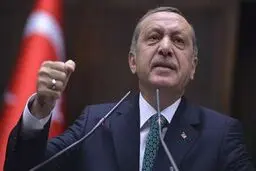 دو کاریکاتوریست ترک به اتهام توهین به اردوغان به ۱۱ ماه زندان محکوم شدند