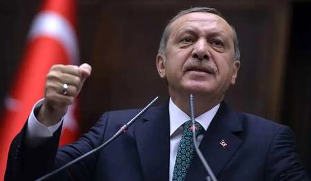 دو کاریکاتوریست ترک به اتهام توهین به اردوغان به ۱۱ ماه زندان محکوم شدند