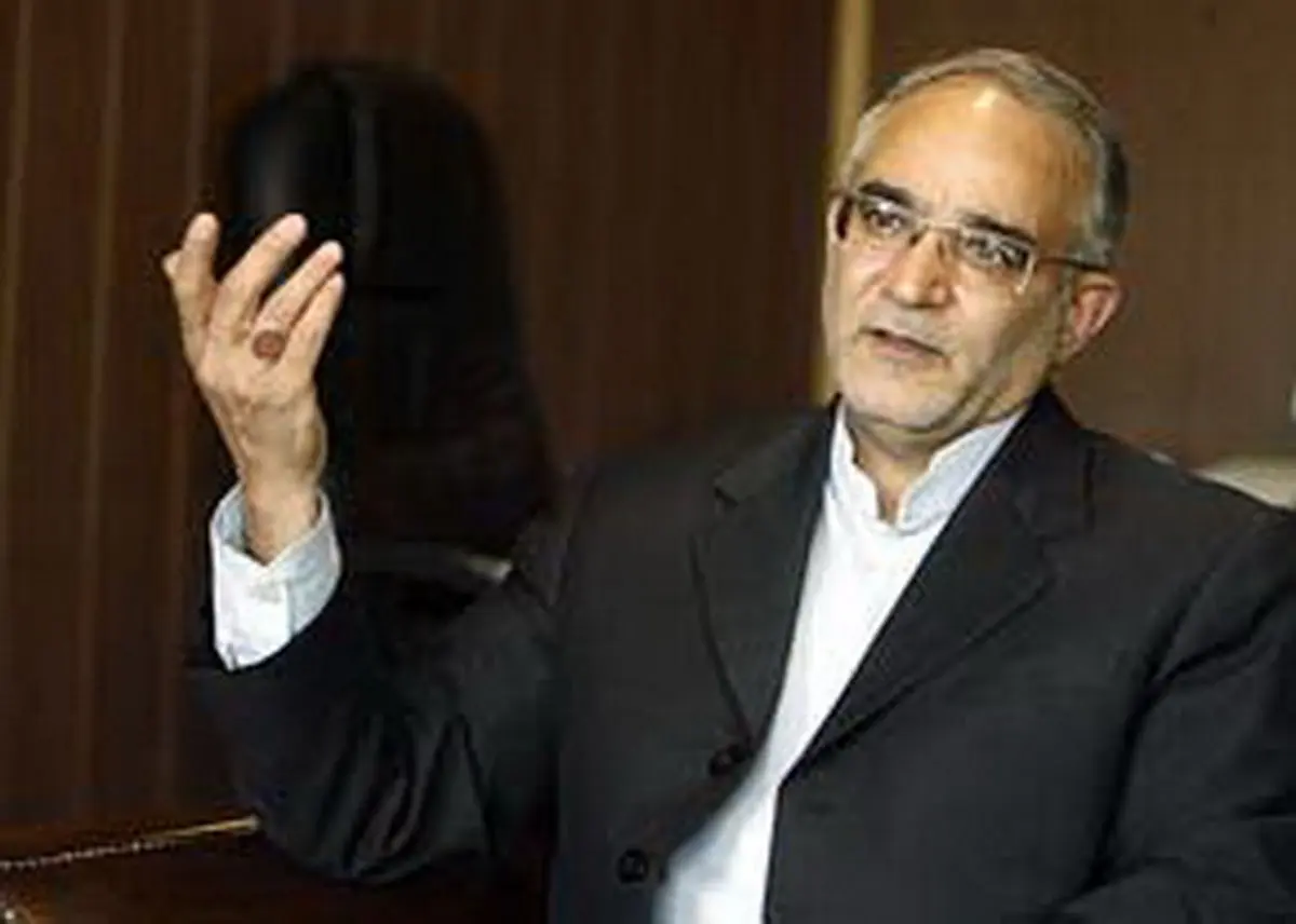 مصری : امامزادگان ظرفیت پایگاه های دائمی فرهنگی را دارند