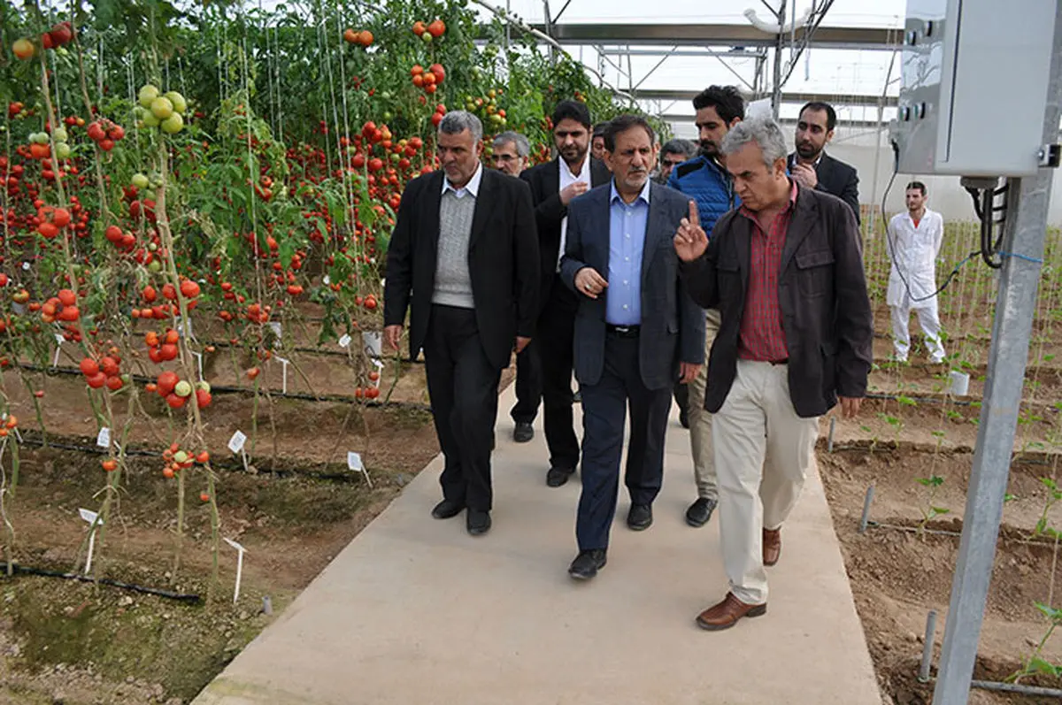 جهانگیری از نخستین واحد مرغداری با سیستم پرورش در قفس ۵ طبقه‌ای بهره‌برداری کرد