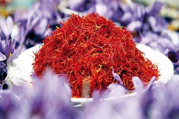 رئیس اتحادیه زعفران:  پارسال با وجود تحریم‌ها، صادرات زعفران ۲۷ درصد رشد داشت