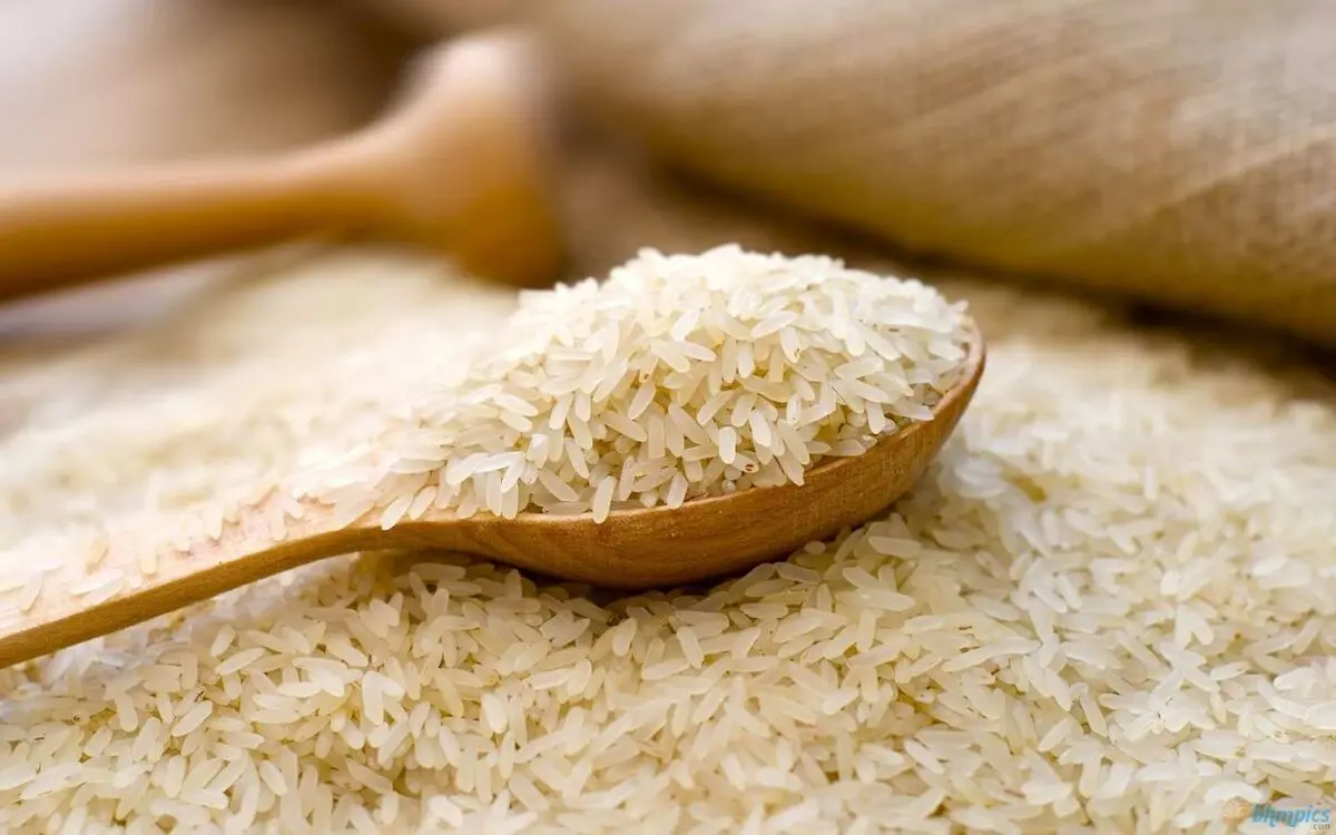 توضیح رئیس انجمن واردکنندگان برنج درباره سفر هیات تجاری هند به تهران