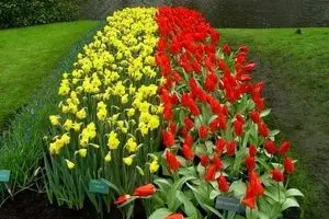 ایران در کردستان عراق نمایشگاه گل و گیاه  برپا می‌کند