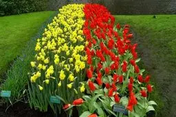 ایران در کردستان عراق نمایشگاه گل و گیاه  برپا می‌کند