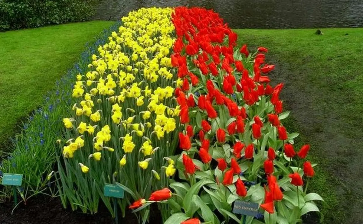 ایران در کردستان عراق نمایشگاه گل و گیاه  برپا می‌کند