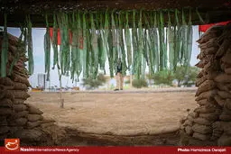 بیش از ۹۰ نمایش خیابانی برای زائران راهیان نور اجرا شد