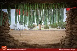 بیش از ۹۰ نمایش خیابانی برای زائران راهیان نور اجرا شد