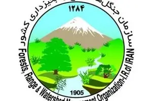 سازمان جنگل‌ها خواستار حفظ محیط زیست در روز طبیعت شد
