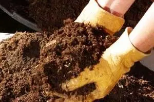 کمبود کود اوره تکذیب شد