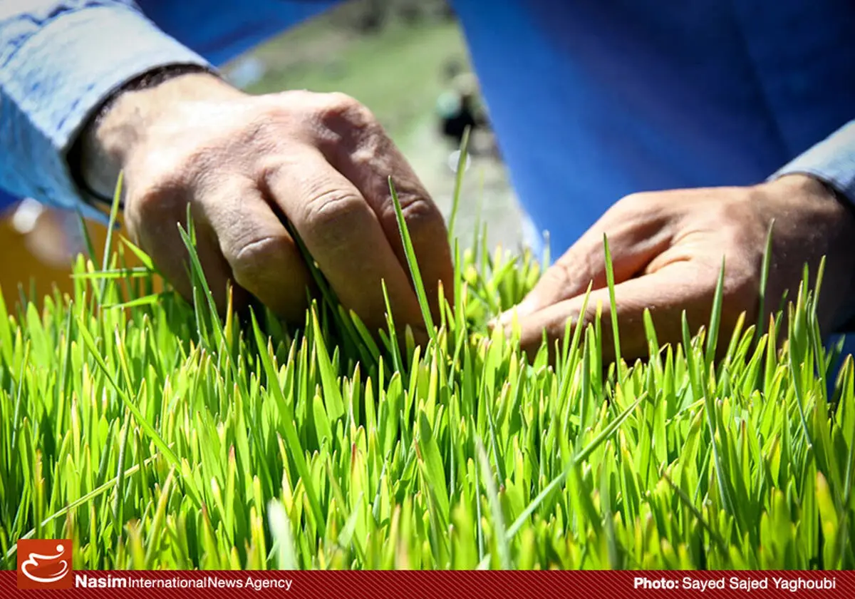 گزارش تصویری:: روز طبیعت در اردبیل