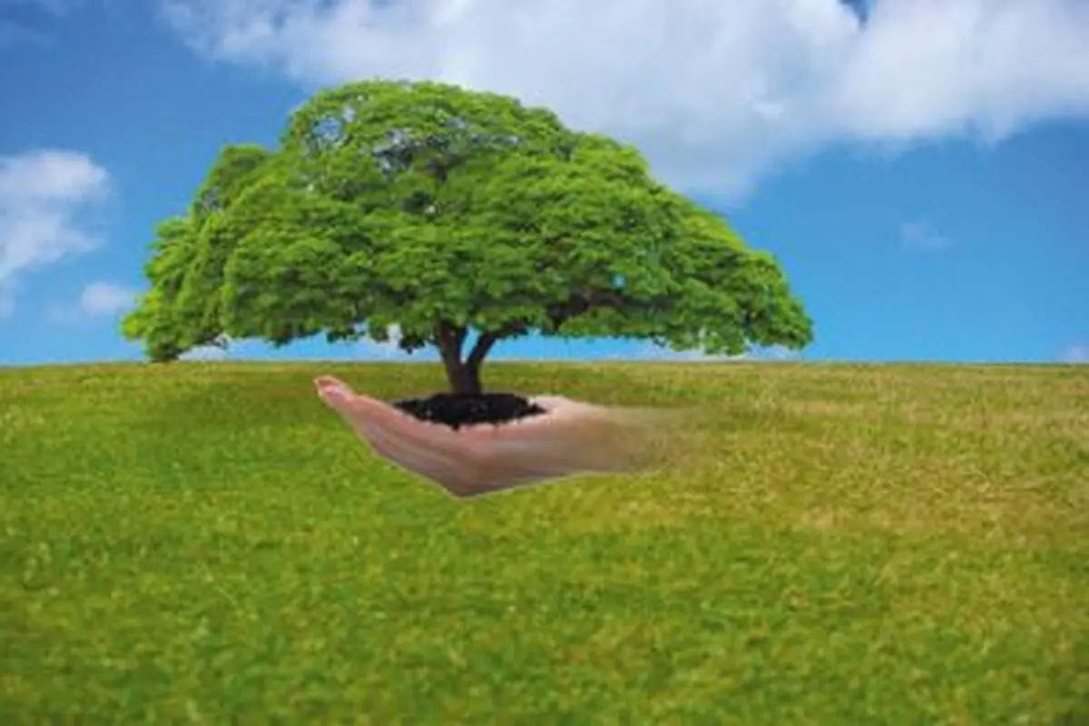 پاسخ به سؤالات شرعی درباره‌ احکام محیط زیست