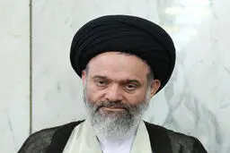 آیت‌الله حسینی بوشهری معاون امور فرهنگی و ارتباطات دبیرخانه مجلس خبرگان رهبری شد