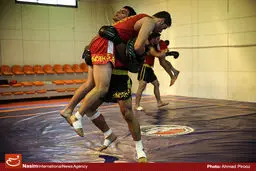 تیم ووشوی پارس جنوبی در تورنمنت ارمنستان شرکت می‌کند