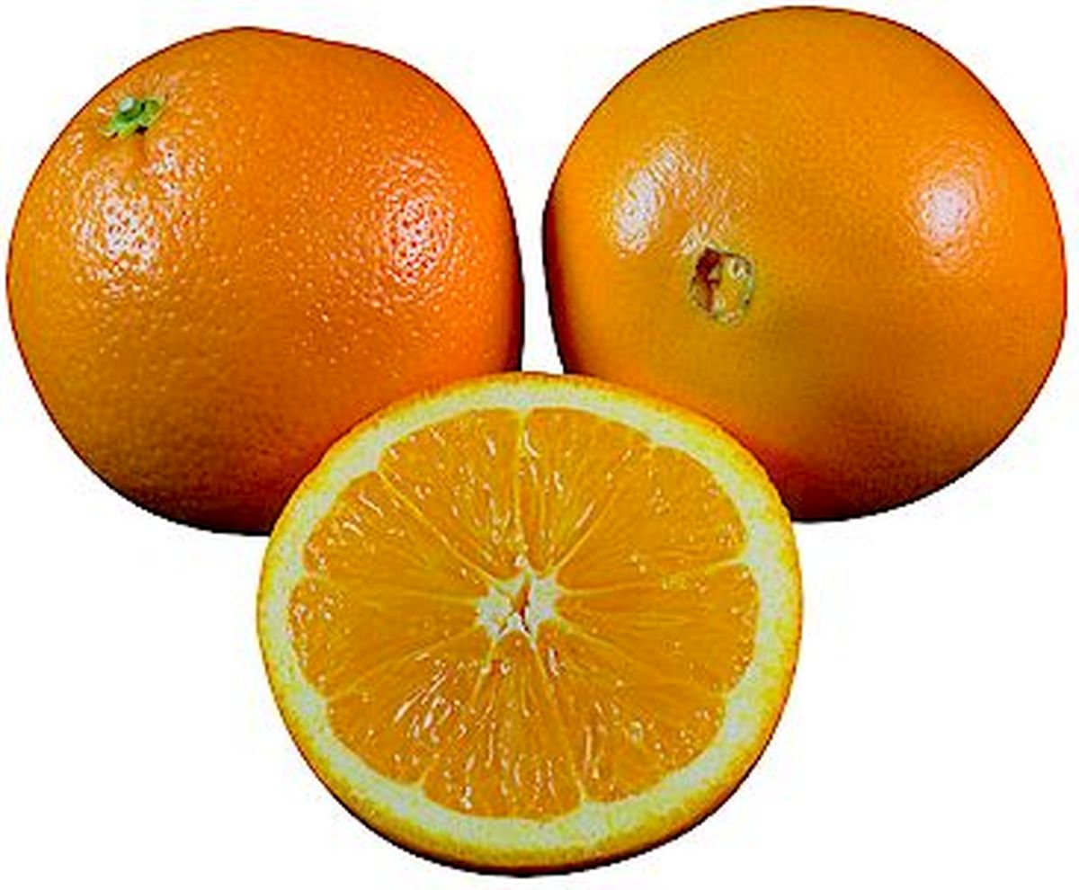 واردات و توزیع پرتقال مصری در بازار تهران تکذیب شد
