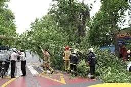 هلال‌‌احمر در شش استان کشور  در پی احتمال طوفان  اعلام آماده‌باش کرد