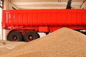 حجتی: واردات گندم از ۵۰۰ هزار تا یک میلیون تن کاهش می‌یابد