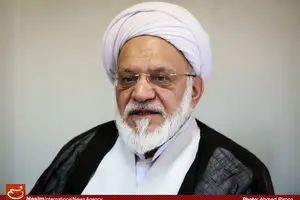 مصباحی‌مقدم: ترویج فرهنگ تعاون در میان دولت‌مردان دیده نمی‌شود