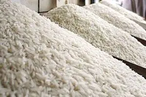 رئیس انجمن واردکنندگان برنج:   ثبت‌سفارش برای واردات برنج فعلا  انجام نمی‌شود