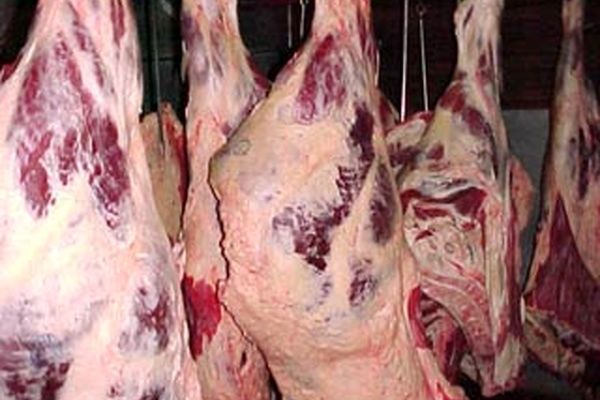 مدیرکل امور استان‌های وزیر جهادکشاورزی: امسال مجوزی برای خرید گوشت بوفالو صادر نشد