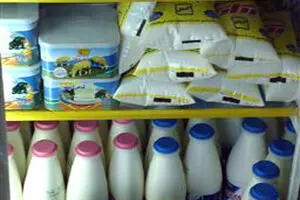 عضو هیأت مدیره فرآورده‌های لبنی:  هیچ شرکت لبنی حق گران کردن محصولاتش را ندارد